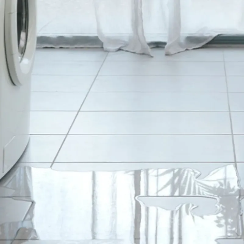 Appliance Leak Cleanup in Pearland, TX