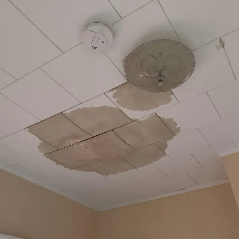 Ceiling Water Damage Repair in Pearland, TX