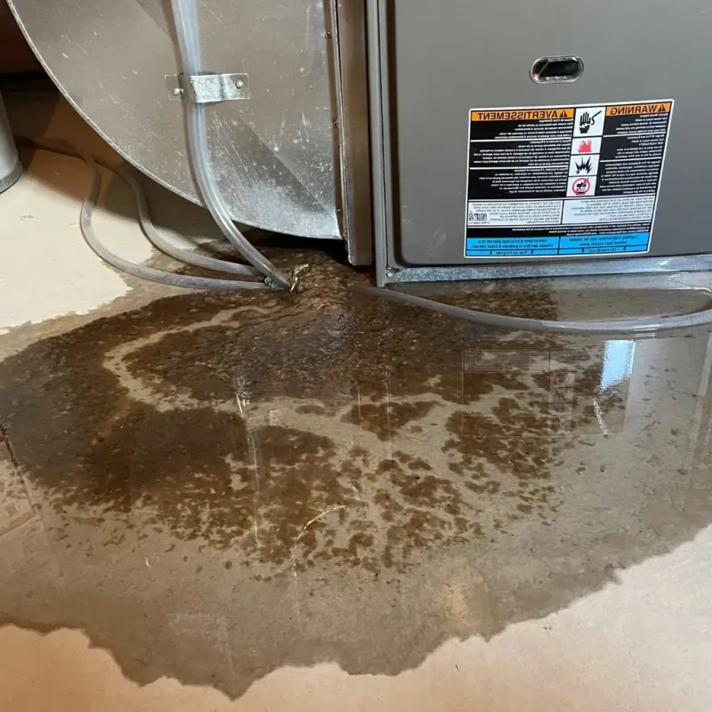 Pipe Burst and Leak Restoration in Pearland, TX